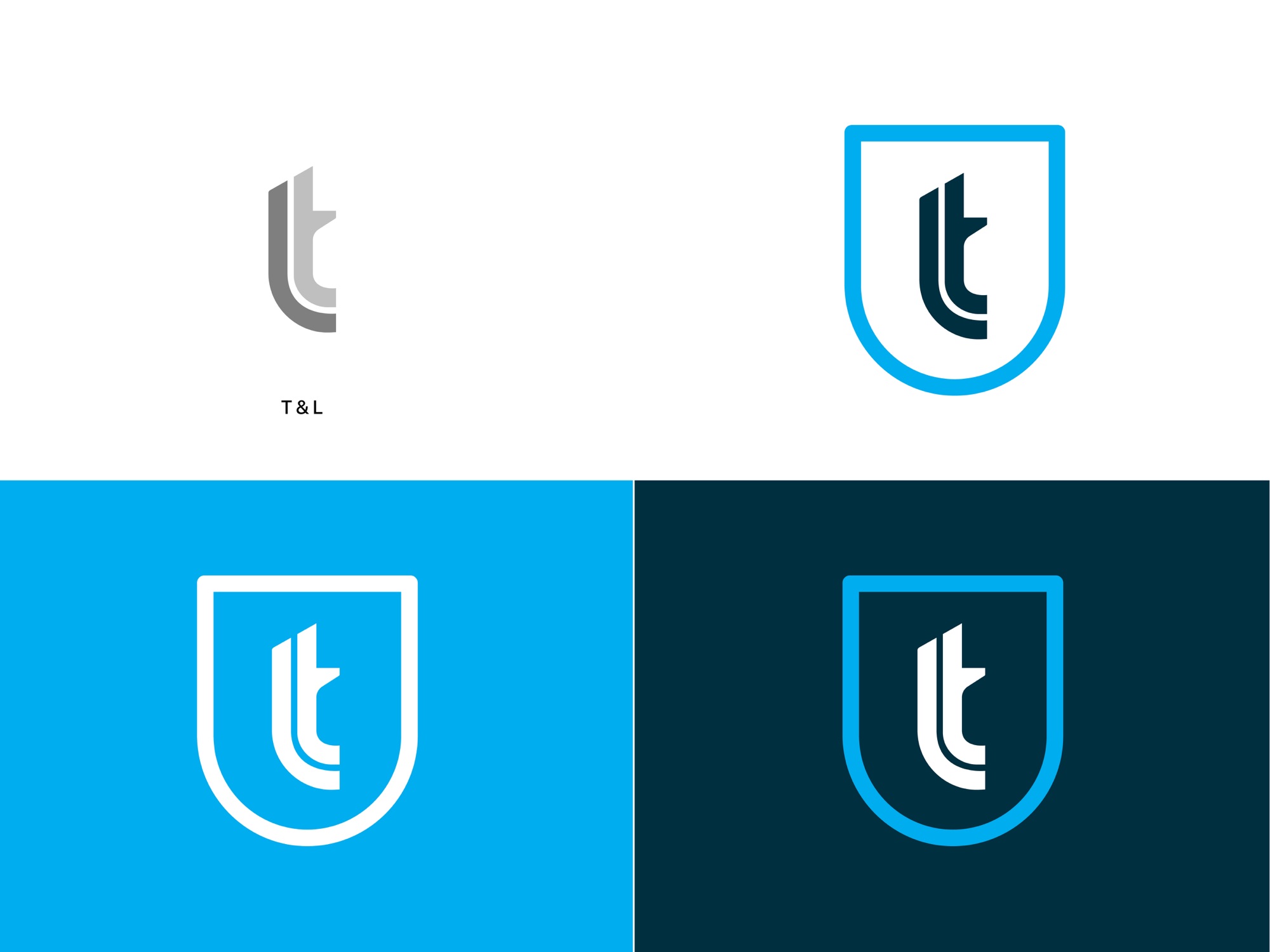 T-Lab shield badge in four colourways